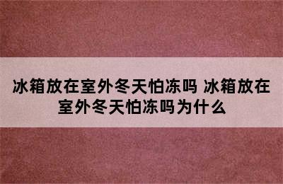 冰箱放在室外冬天怕冻吗 冰箱放在室外冬天怕冻吗为什么